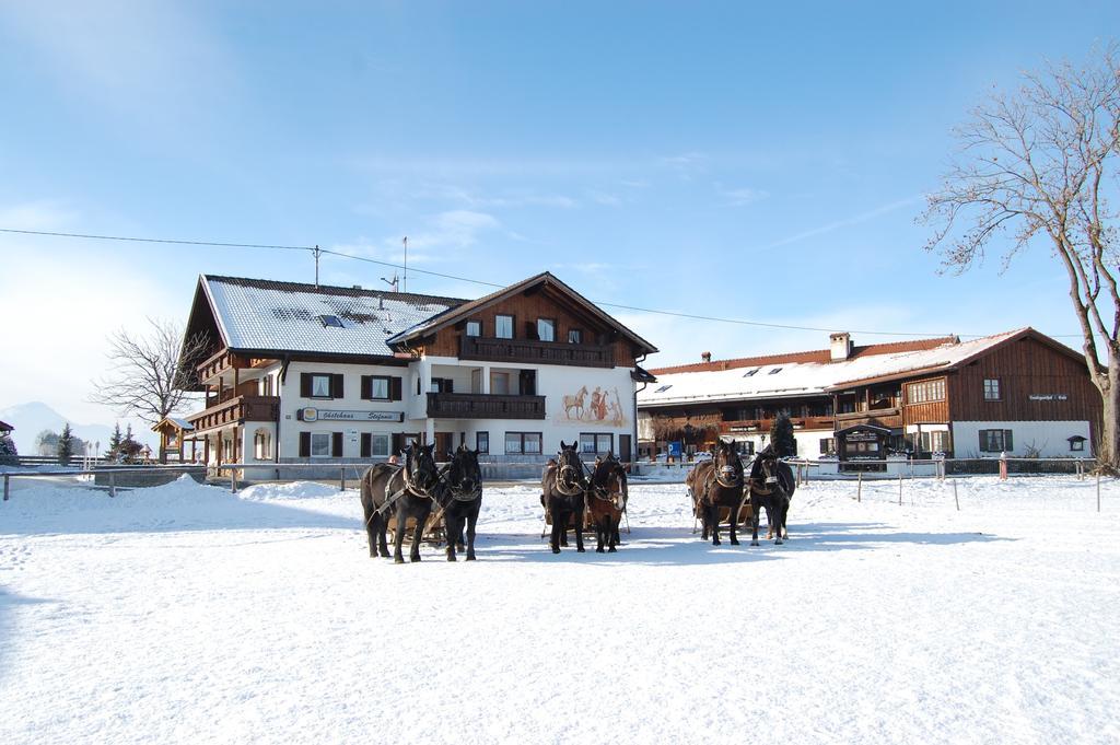 Gaestehaus Stefanie Schwangau Quarto foto